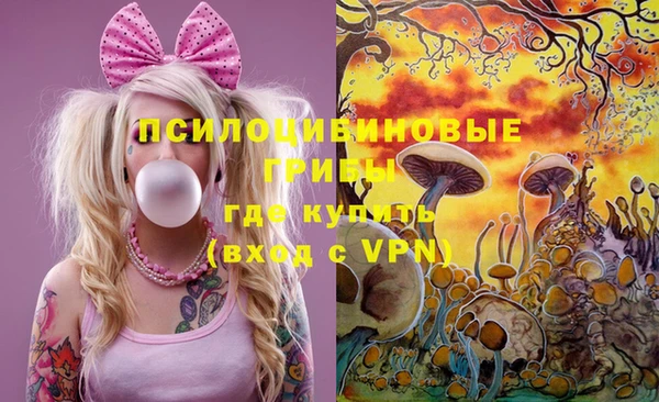 МДПВ Верхний Тагил