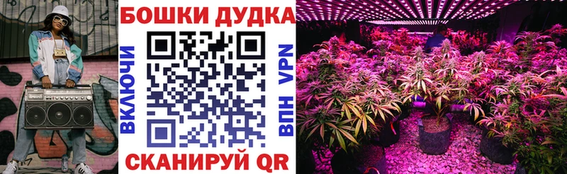 Купить где Кашин Каннабис Ganja